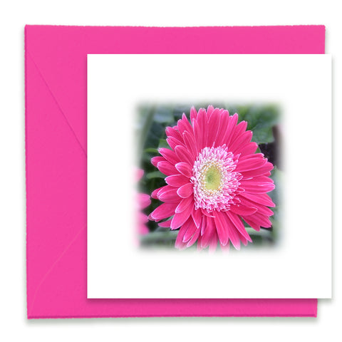 Pink Daisy Mini Greeting Card