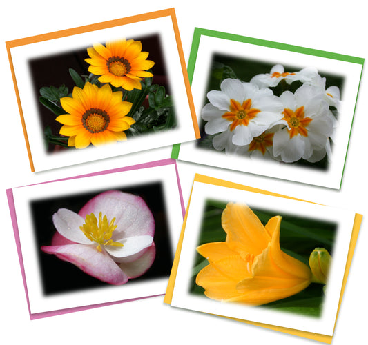 Good Vibrations Assorted Note Cards