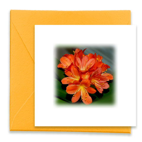 Tropical Flame Flower Mini Greeting Card