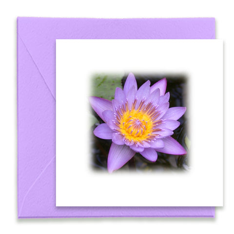 Purple Waterlily Mini Greeting Card