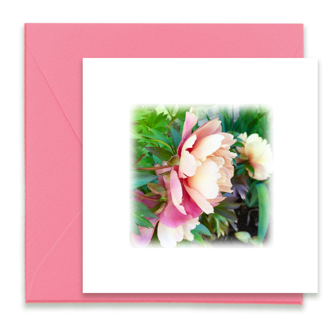 Peony Bloom Mini Greeting Card