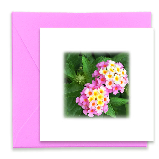 Twin Lantana Mini Greeting Card