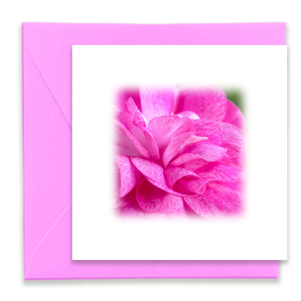 Rose Impatient Bloom Mini Greeting Card