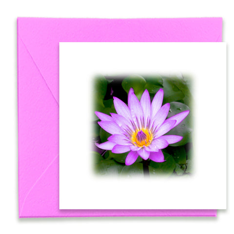 Pink Waterlily Mini Greeting Card