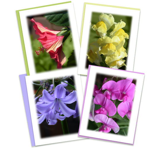 Rainbow Garden Assorted Note Cards