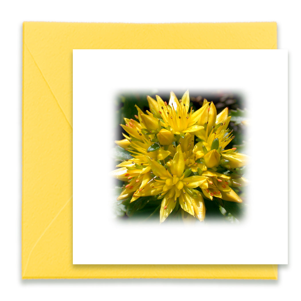 Oh Happy Day Mini Greeting Cards, Mini Cards Bundle