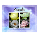 Serenity Greeting Card Bundle, Stationery Note Card