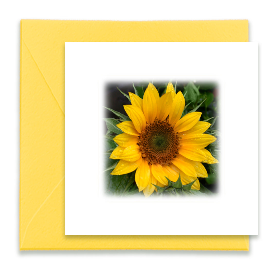 Oh Happy Day Mini Greeting Cards, Mini Cards Bundle