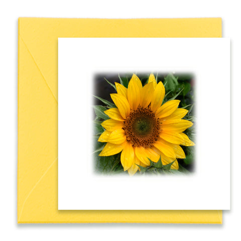Sunflower Mini Greeting Card