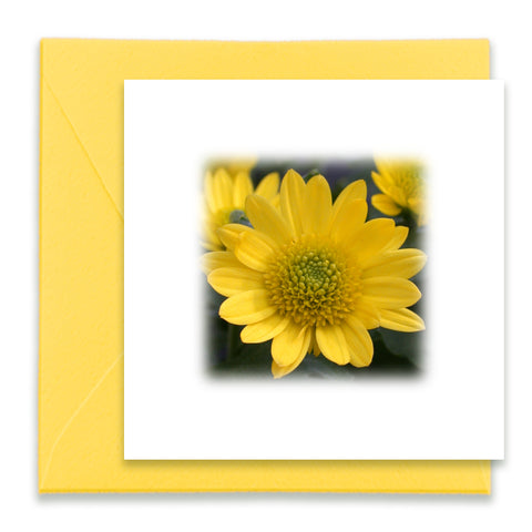 Yellow Mum Flower Mini Greeting Cards